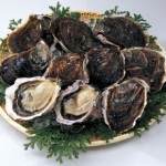 いわがき　凍結１