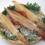 白いか　凍結１