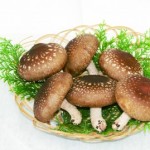 （奥出雲椎茸）雲太