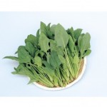 （ぐり～ん）有機１