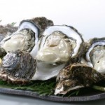 （日本海）いわがき