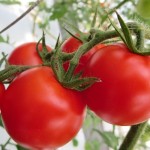 (江津)えみちゃん