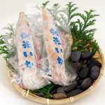 （日本海）プロトン