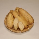 （生湯）れんこん