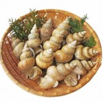 (マキノ水産)白バイ新