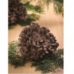 （舞茸奥出雲）舞茸