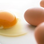 03_平飼い有精卵たなべのたまご