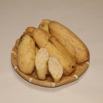 13_石見白蓮 れんこん、カットれんこん(真空パック)