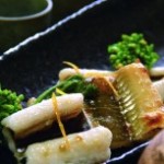 86b2ff931db83d191fe96a3adc449c8d-204x153