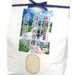 b62f3520e92f565da5a9a92c99c7b26a-204x153