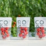 bcccd94fb23f3fd2e3be631b5df094f6-1-204x153